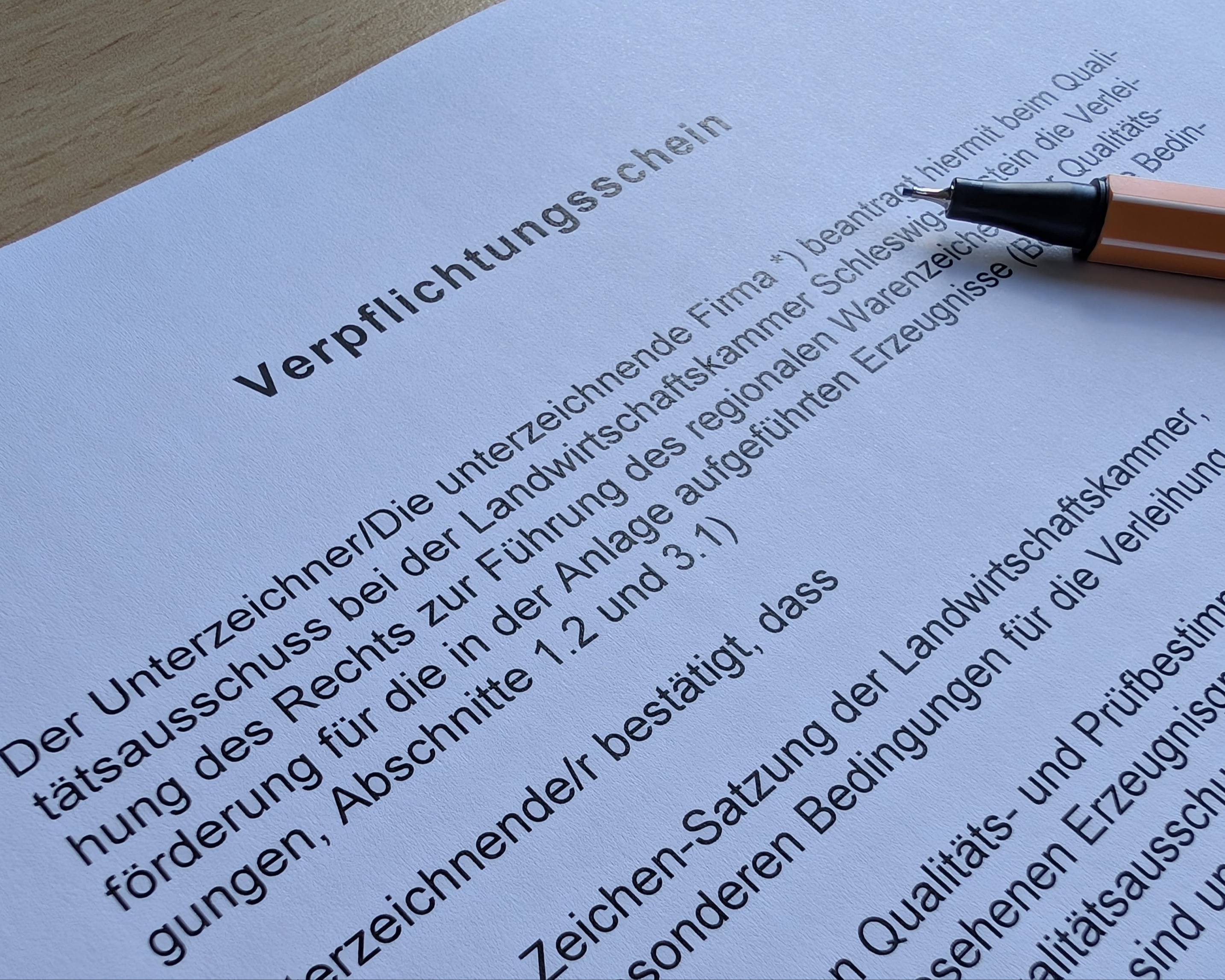 Formular mit Stift