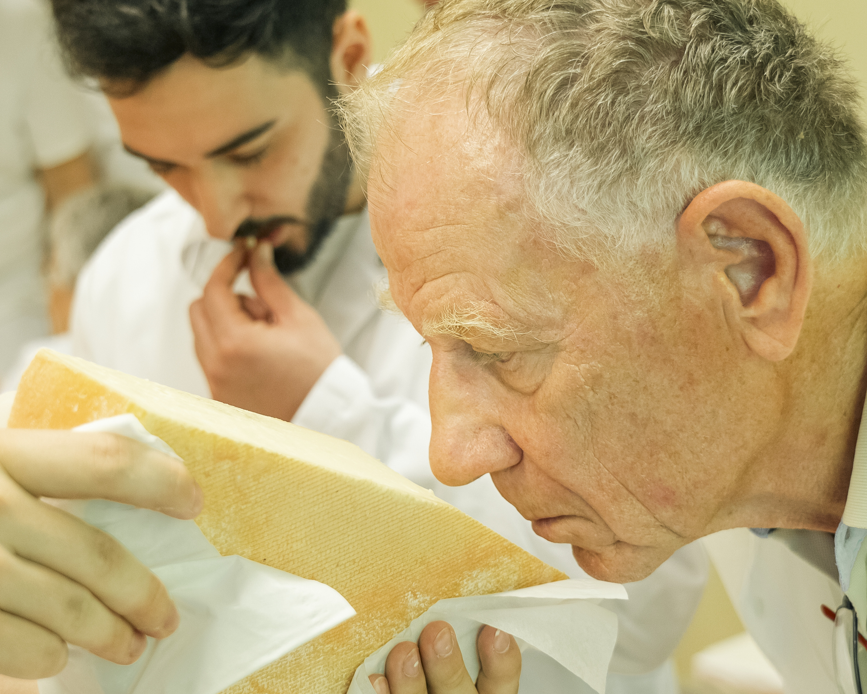 Nahaufnahme Mann riecht an einem Stück Hartkäse