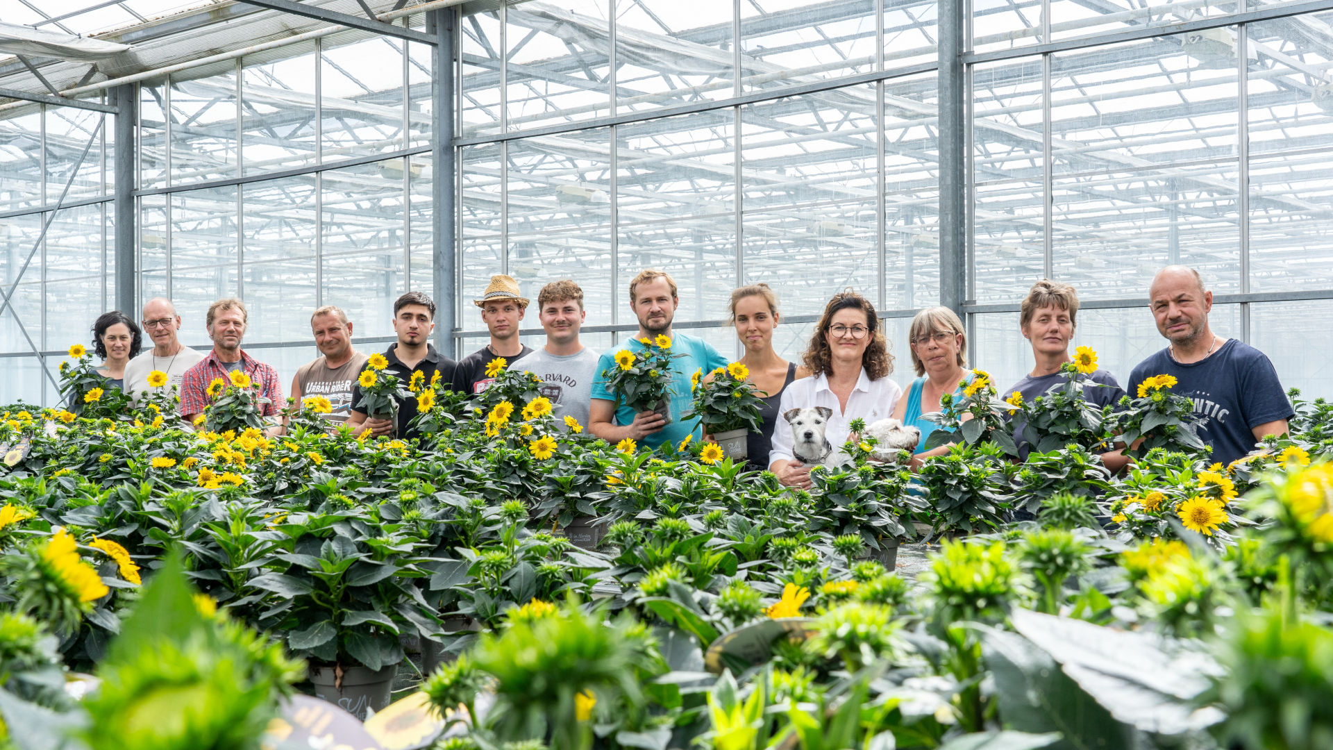 viele Menschen stehen an Pflanztischen mit Blumen in einem Gewächshaus