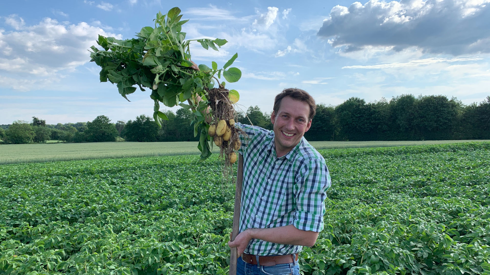 Mann hält Kartoffelpflanze in die Luft