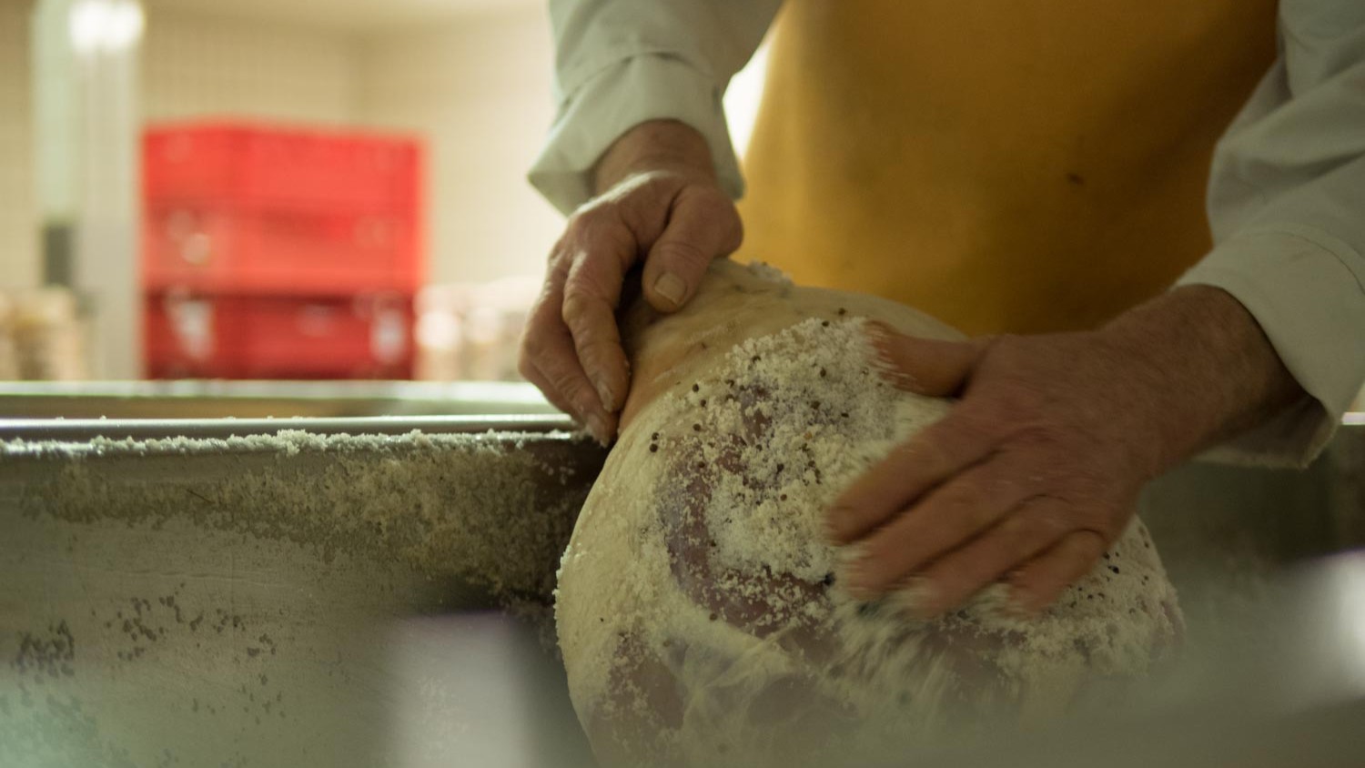 ein Schinken wird festgehalten und mit einer Hand gesalzen