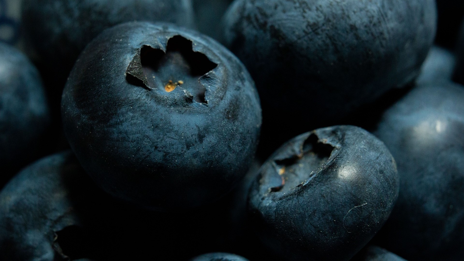 Nahaufnahme Heidelbeeren