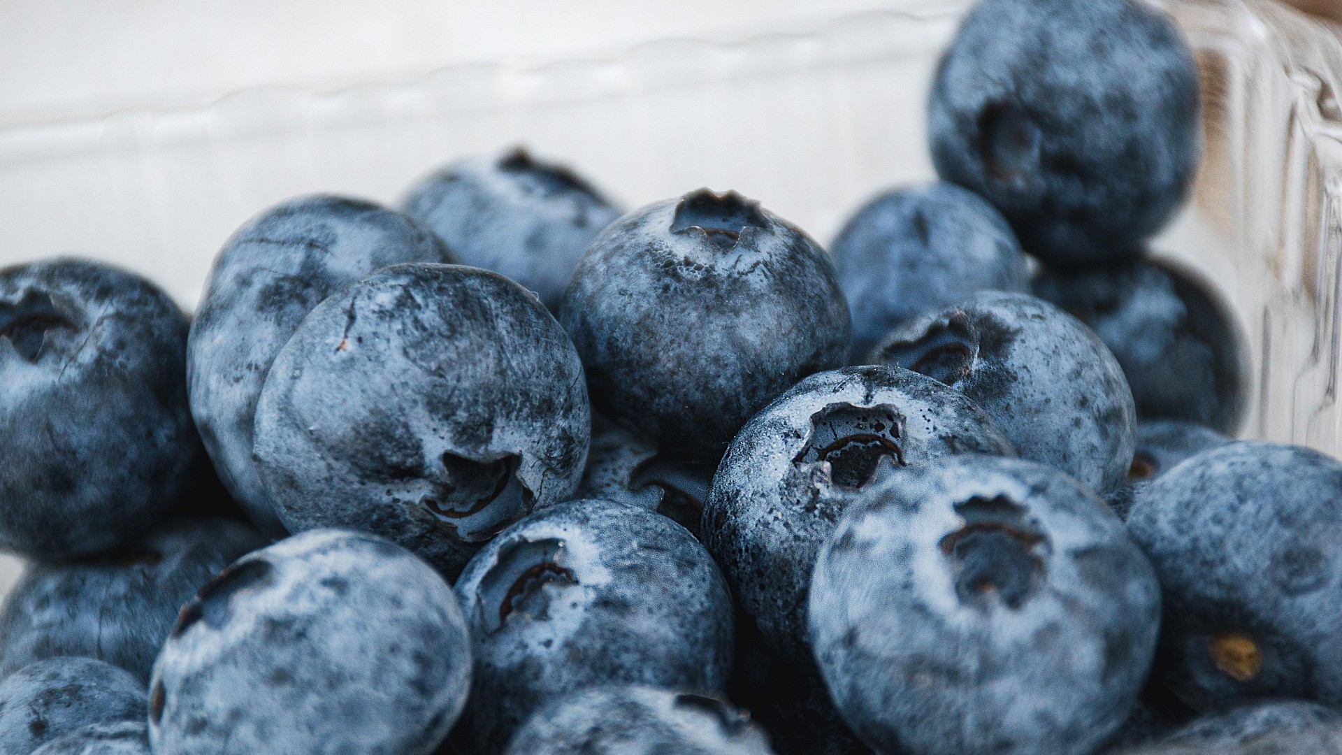 viele Heidelbeeren in einer transparenten Schale