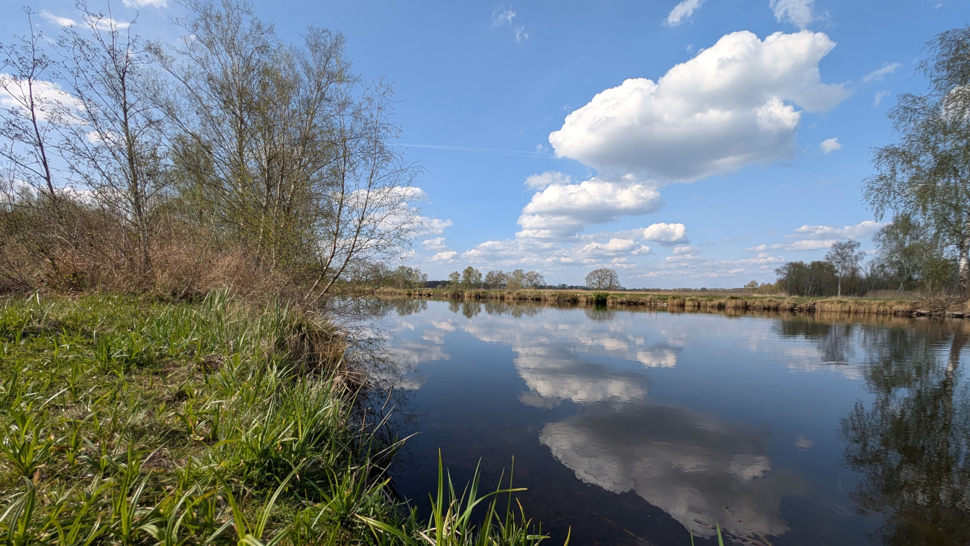 Blick auf einen Teich
