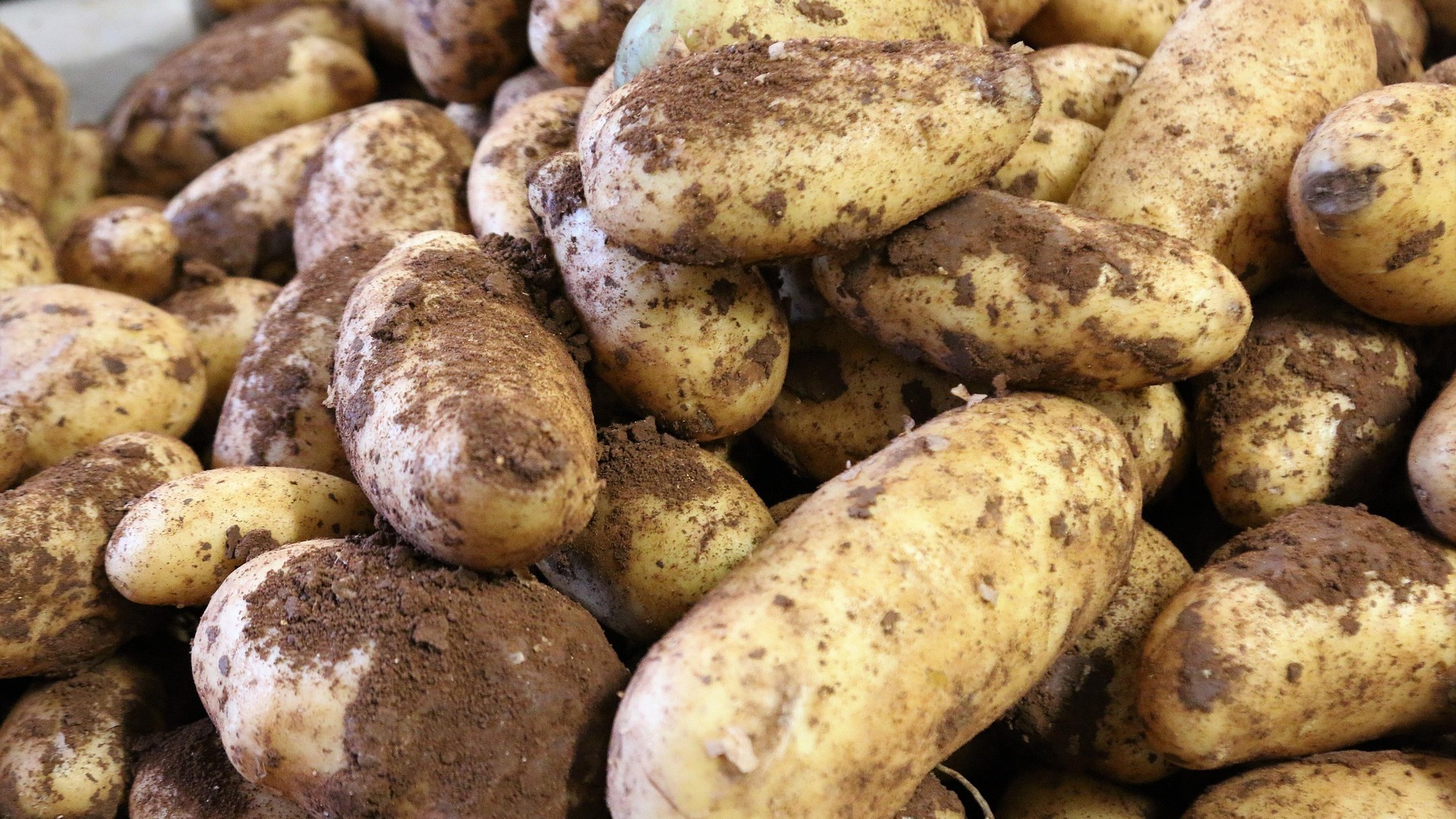 Kartoffeln