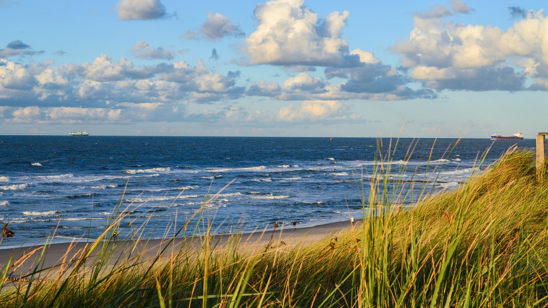 Blick von den Dünen auf das Meer