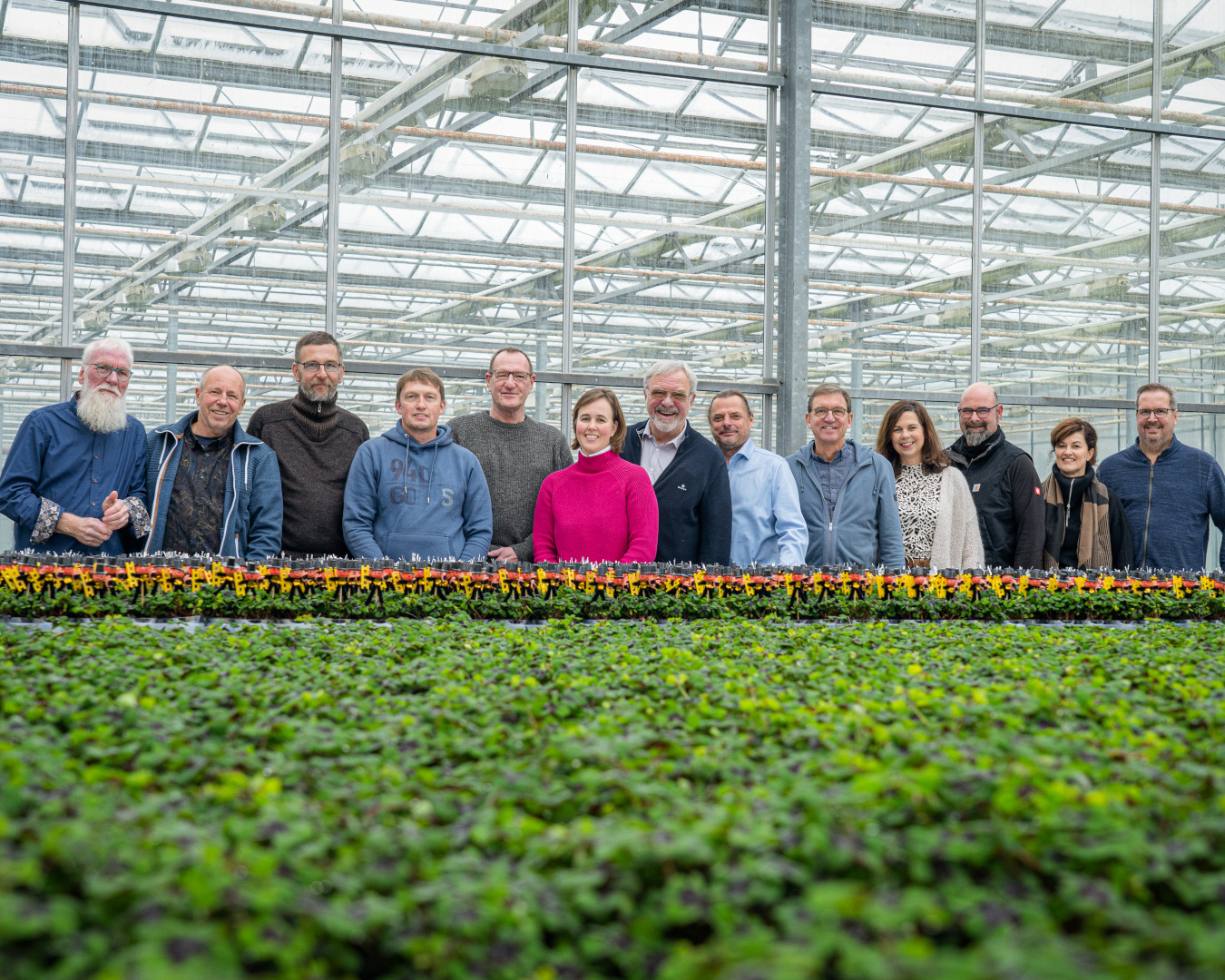 Gärtnerinnen und Gärtner stehen hinter einem großen Tisch voller Glücksklee
